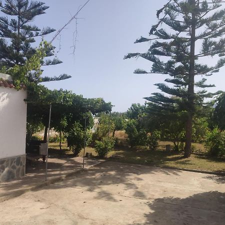 Apartamento Encantadora casa rural con gran porche San Roque  Exterior foto