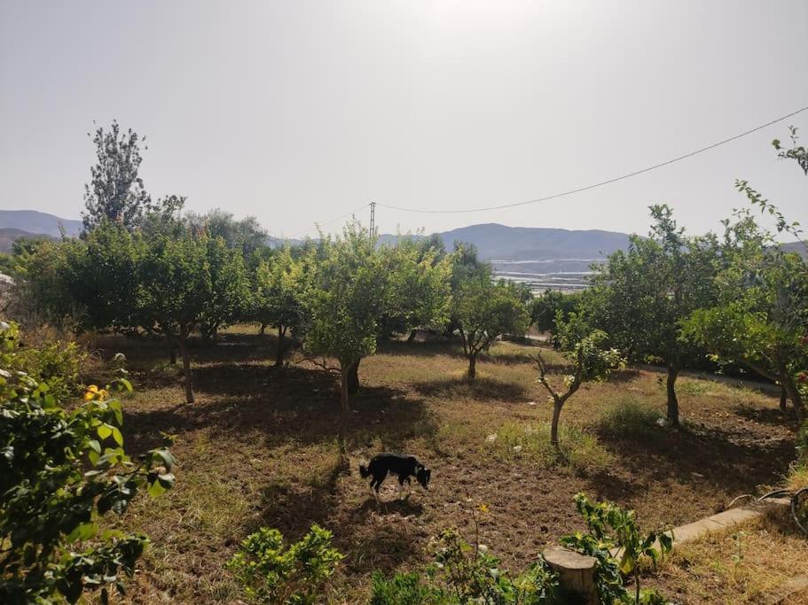 Apartamento Encantadora casa rural con gran porche San Roque  Exterior foto